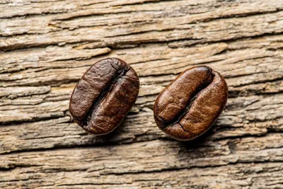 Arabica \u0026 Robusta Kaffee: Was ist nun besser?