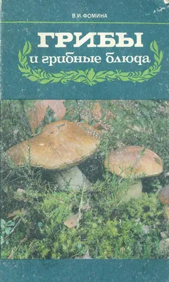 Грибы и грибные блюда - 1986 ссср by Алиса - Issuu