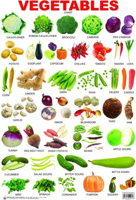 Овощи по алфавиту от а до я: Список овощей (названия по алфавиту) — полный  перечень по алфавиту онлайн — Чудеса света , Семь чудес света, Всемирное  наследие ЮНЕСКО