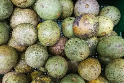 Страшные фрукты на Шри-Ланке - Mama Asia