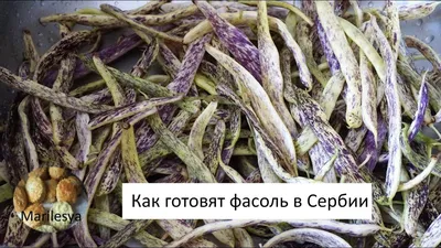 Как приготовить спаржевую фасоль вкусно, сербская кухня/Asparagus beans -  YouTube