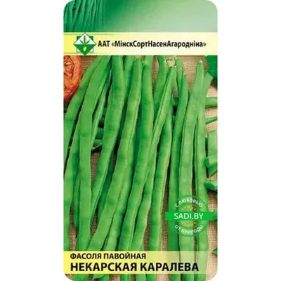 Купить фасоль спаржевая Некарская королева 10 шт семена почтой по Беларуси
