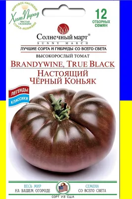 Томат Настоящий Черный Коньяк 12 сем Солнечный март, цена 5 грн — Prom.ua  (ID#1110856310)