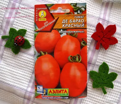 Семена Аэлита Томат Де Барао Красный - «Томат Де Барао - характеристика и  описание сорта от садовода-любителя. По-настоящему царский сорт томатов,  которые сажаем в течении 5 лет. Фото. » | отзывы