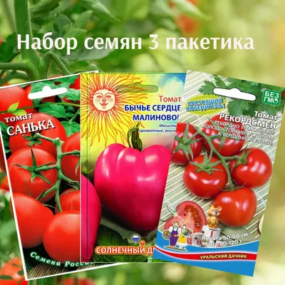 Томаты Уральский дачник томатов - купить по выгодным ценам в  интернет-магазине OZON