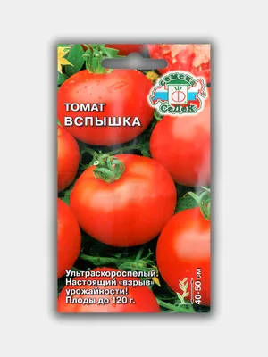 Томат Вспышка (семена) за 49 ₽ купить в интернет-магазине KazanExpress