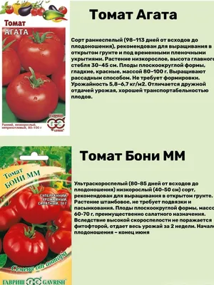 Набор семян низкорослых томатов Гавриш 58019219 купить в интернет-магазине  Wildberries