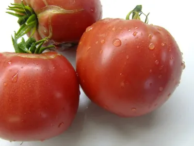 Настоящий Бельмонте из Калабрии (Belmonte vero Calabro) США — Семена редких  сортов томатов