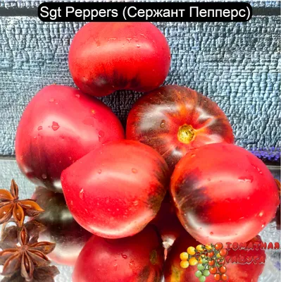 Набор №2: Органические семена томатов с антоцианом 10 упаковок / по  5-7семян, семена помидор - купить по выгодной цене | AliExpress