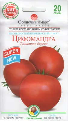 Паслен Соланум томатное дерево, цена 150 руб. купить в Ростове-на-Дону