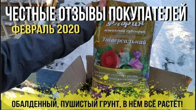 Семена \"Томат Спрут F1\" 0,03г. в пакете СеДек 10835787 купить в  интернет-магазине Wildberries