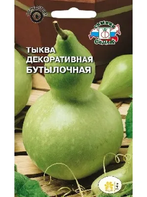 Пора разобраться с видами тыквы. Меня удивило, что кабачок - это тыква |  Доктор Наталья Павлюк | Дзен