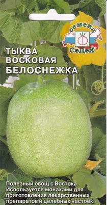 Тыква воска стоковое изображение. изображение насчитывающей китайско -  181616587