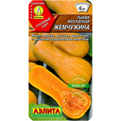 Купить тыква мускатная Жемчужина 1 г семена почтой по Беларуси