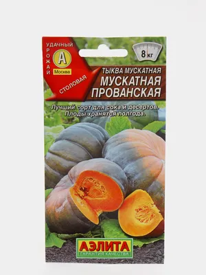 Семена Тыква Мускатная Прованская за 49 ₽ купить в интернет-магазине  KazanExpress