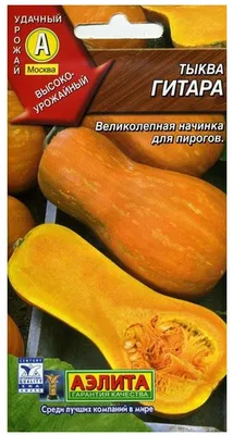 Тыква Гитара мускатная ~ 9 семян (1гр.) — купить в интернет-магазине по  низкой цене на Яндекс Маркете