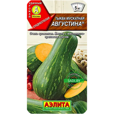 Купить тыква мускатная Августина 1 г семена почтой по Беларуси