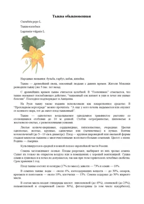 Фон семян тыквы и вырезанной тыквы после сушки пищи Стоковое Фото -  изображение насчитывающей приправа, октябрь: 157996880