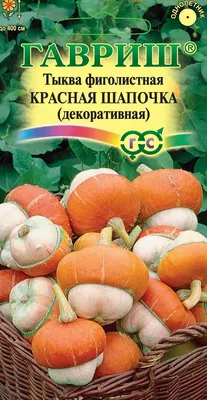 Фицифолия. Фиголистная тыква. Вырастила в прошлом году и влюбилась в нее! А  вы выращиваете такую? - Сад и огород - Козоводство в Украине, России, СНГ:  форум, хозяйства, рынок