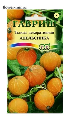 Тыква Голосемянная, Семена Алтая, 5 шт — купить в городе Тайга, цена, фото  — ООО «ГалаОпт»