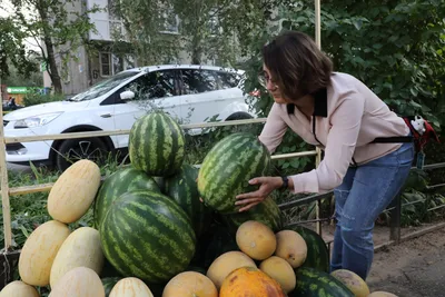 Сыворотка для роста бороды, масло активатор роста волос, натуральное  средство для густоты волос — купить в интернет-магазине по низкой цене на  Яндекс Маркете