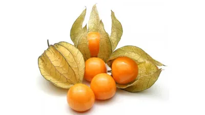 Обзор самых вкусных экзотических фруктов | Puteshestvenik.ru