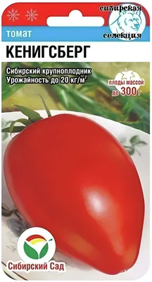 Семена томат Кенигсберг (Сибирская селекция) 20шт, цена 133 руб. купить в  Элисте