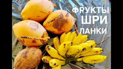 ТОП-6 самых необычных фруктов Шри-Ланки - 2022 Travel Times