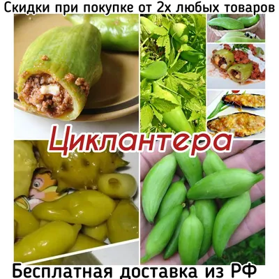 Сибирская гирлянда семена купить