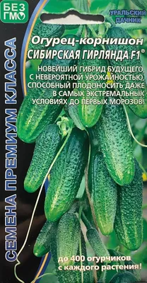 ⬇ Скачать картинки Cyclanthera, стоковые фото Cyclanthera в хорошем  качестве | Depositphotos