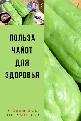 Чайот вкусный зелёный овощ, разрезанный пополам, близкий, на черном фоне  Стоковое Фото - изображение насчитывающей пляжа, развилки: 163912066