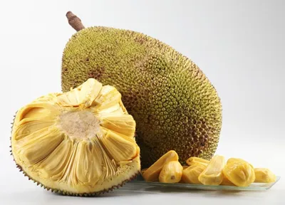 Джекфрут [JackFruit] - купить по выгодной цене | MANGOMAN LLC