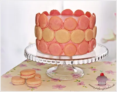 My Cupcakes and Cakes World: Pink Champagne Cake