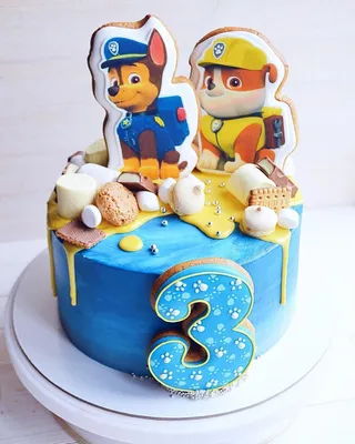 Вам нравятся торты с пряниками? Мне они, если честно, порядком  надоели🤦🏼\u200d♀️И вообще тематические детские торты. … | Birthday cake kids,  Paw patrol cake, Kids cake