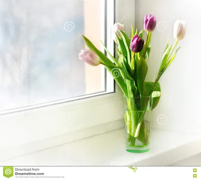 Тюльпаны в вазе на окне стоковое изображение. изображение насчитывающей  oñ€oð²o - 73372351