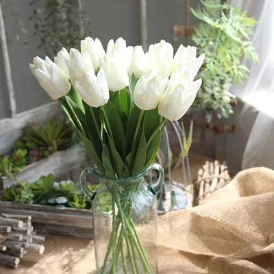 Тюльпаны на окне (136 фото) »