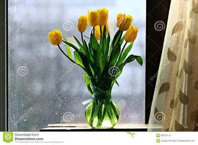 Тюльпаны букет на окне стоковое фото. изображение насчитывающей ñ ð²ðµð¶ðµ  - 185455458