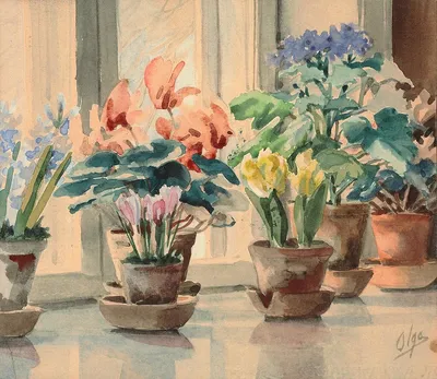 Тюльпаны в окне — стоковое изображение | Тюльпаны, Красные тюльпаны,  Весенние цветы