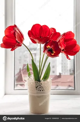 Тюльпаны у окна - обои для рабочего стола, картинки, фото