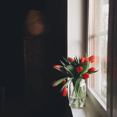 Майское состояние / Трогательной вестью о весне, Вытянув листочки торопливо  Зацвели тюльпаны на окне, Ярко и божественно