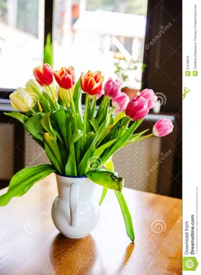 Бесплатное изображение: Натюрморт, тюльпаны, окна, Цветущая, букет