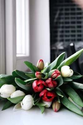 Фото Букет тюльпанов на подоконнике окна