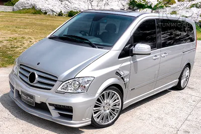 Аэродинамический обвес FOREST Black Bison для Mercedes Viano W639