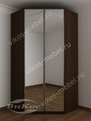 2-дверный распашной шкаф угловой для одежды с зеркалом в спальню цвета  венге - молочный дуб