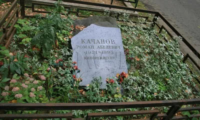 Киноржиссер Роман Качанов о ДМБ, Даун Хаусе, сусликах и кино (часть 2) |  Пикабу