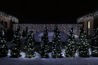 Новогоднее Украшение Участка | Оформление, Подсветка Деревьев Гирляндами,  Новогодняя Иллюминация | Освещение Фасада Дома к Новому Году
