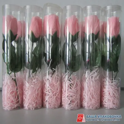 Пластиковая упаковка цветов в Москве, низкие цены