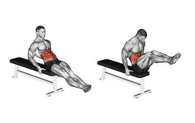 Скручивания на наклонной скамье: техника выполнения, какие мышцы работают