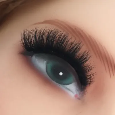 Накладные ресницы \"Envy\" - Sosu by SJ 7 Deadly Sins Sinful Lashes: купить  по лучшей цене в Украине | Makeup.ua