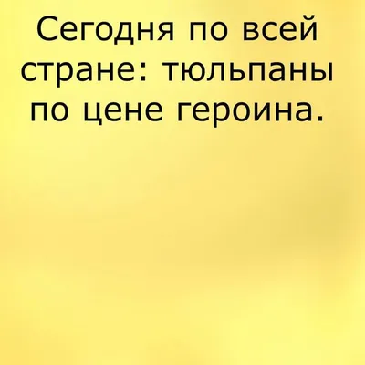 Анекдоты к 8 марта | Данкор онлайн | Сумской информационный портал: все  новости Сумщины